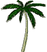 gif animacija