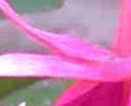 slika4