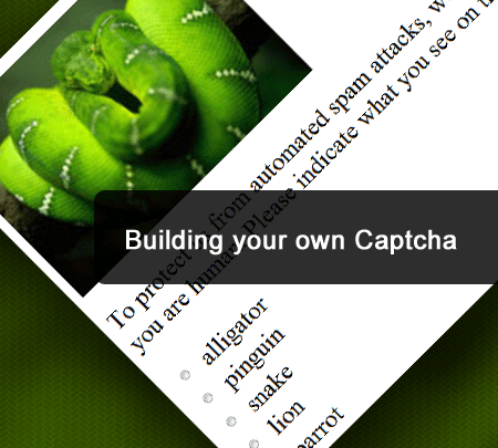 captcha3